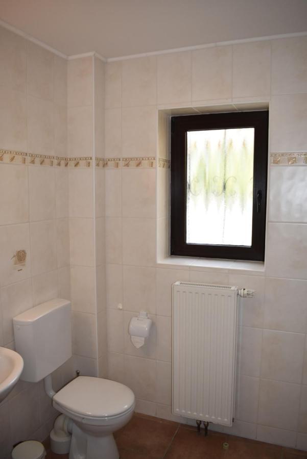 Pension Zur Schleuse Garni Am Elbe Luebeck - Kanal In Witzeeze エクステリア 写真